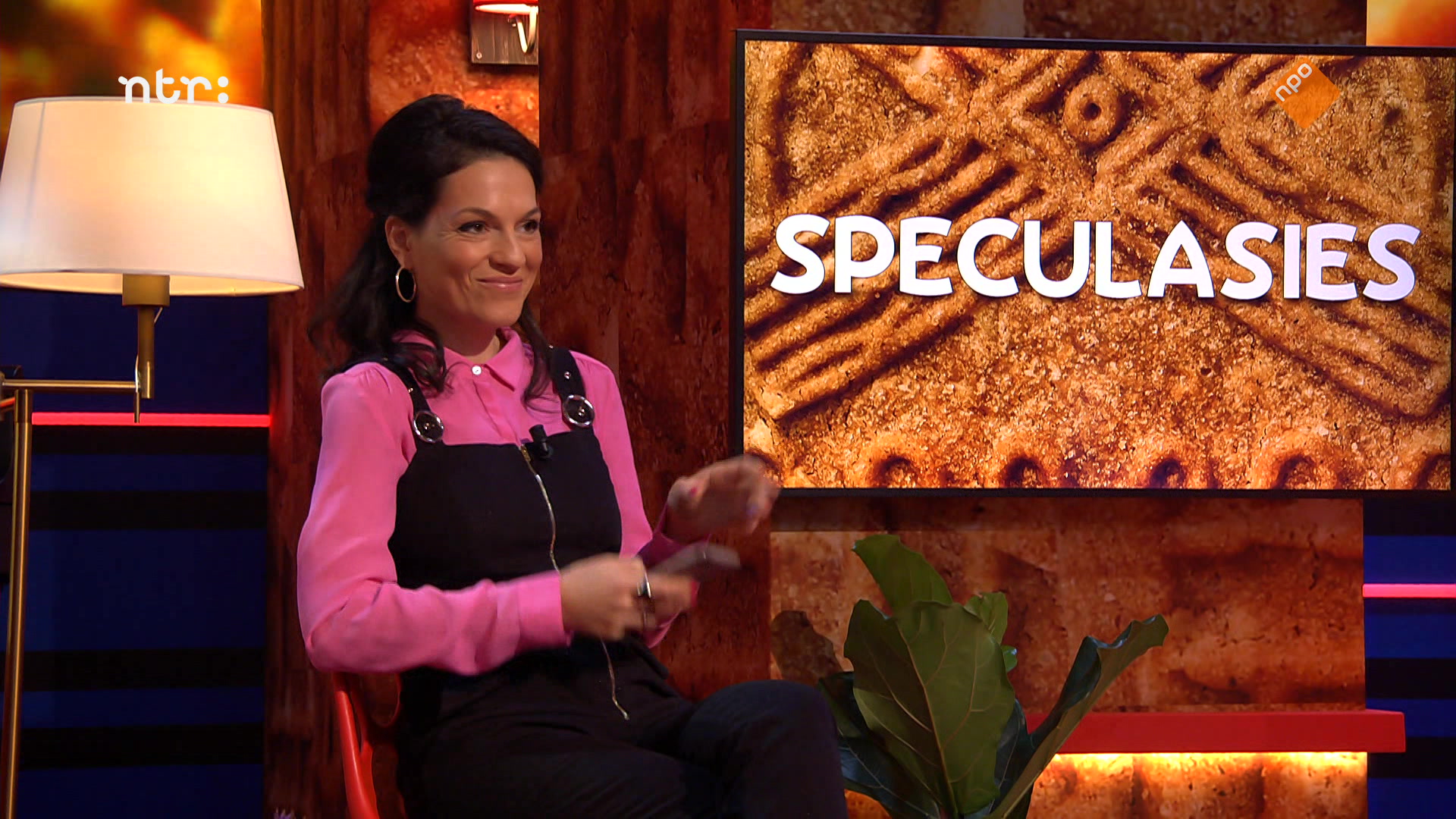 Speculasies