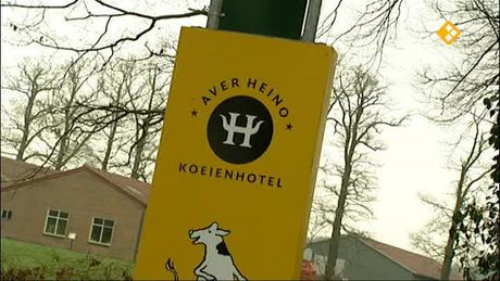 Het Klokhuis | Koeienhotel