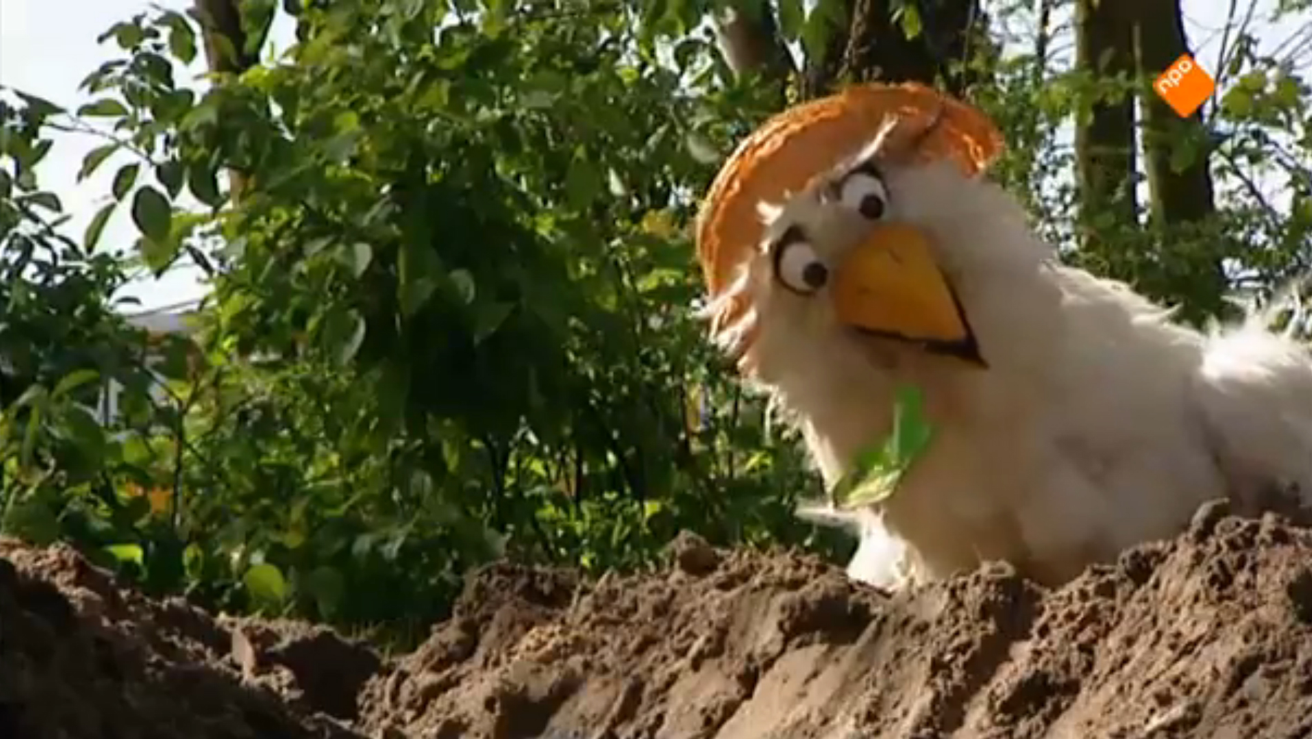 Huisje Boompje Beestje