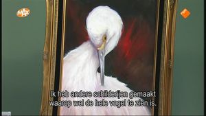 Portret van een kleine, witte reiger