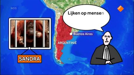 Het NOS Jeugdjournaal | NOS Jeugdjournaal