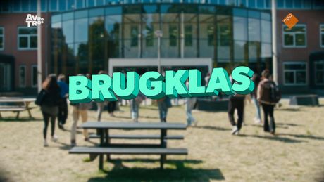 Brugklas | Is Amir een koning?