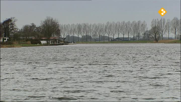 De Buitendienst  | Zaad of stek