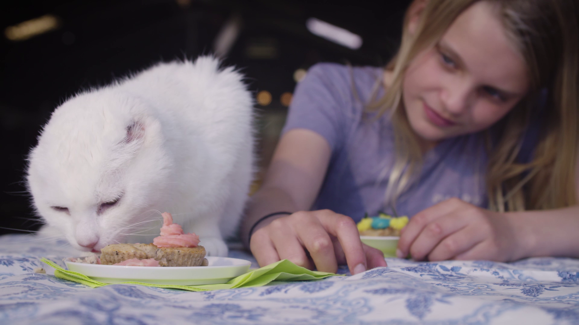 Koken met konijnen | De poes zonder oren