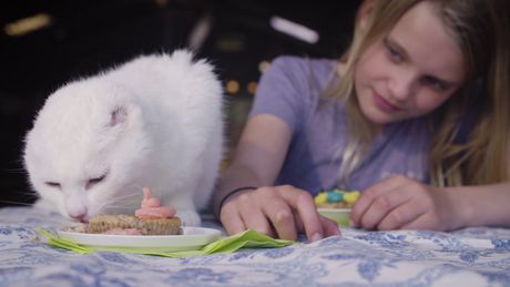 Koken met konijnen | De poes zonder oren