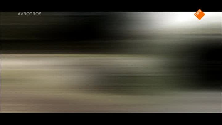 Zappsport