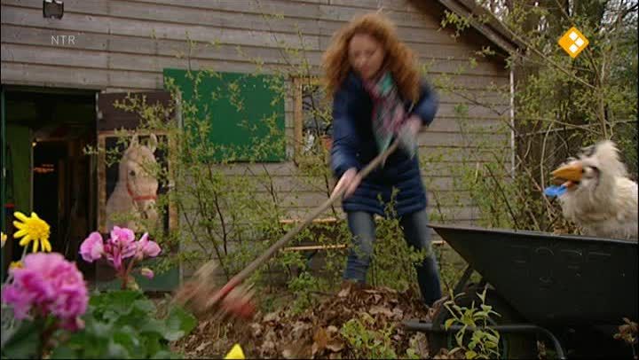 Huisje Boompje Beestje