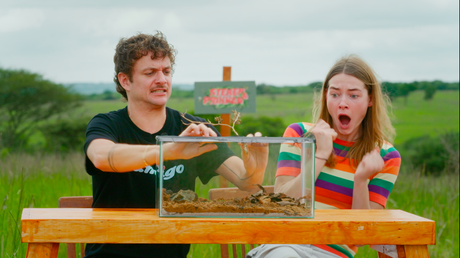Steken en Prikken | De Camel Spider
