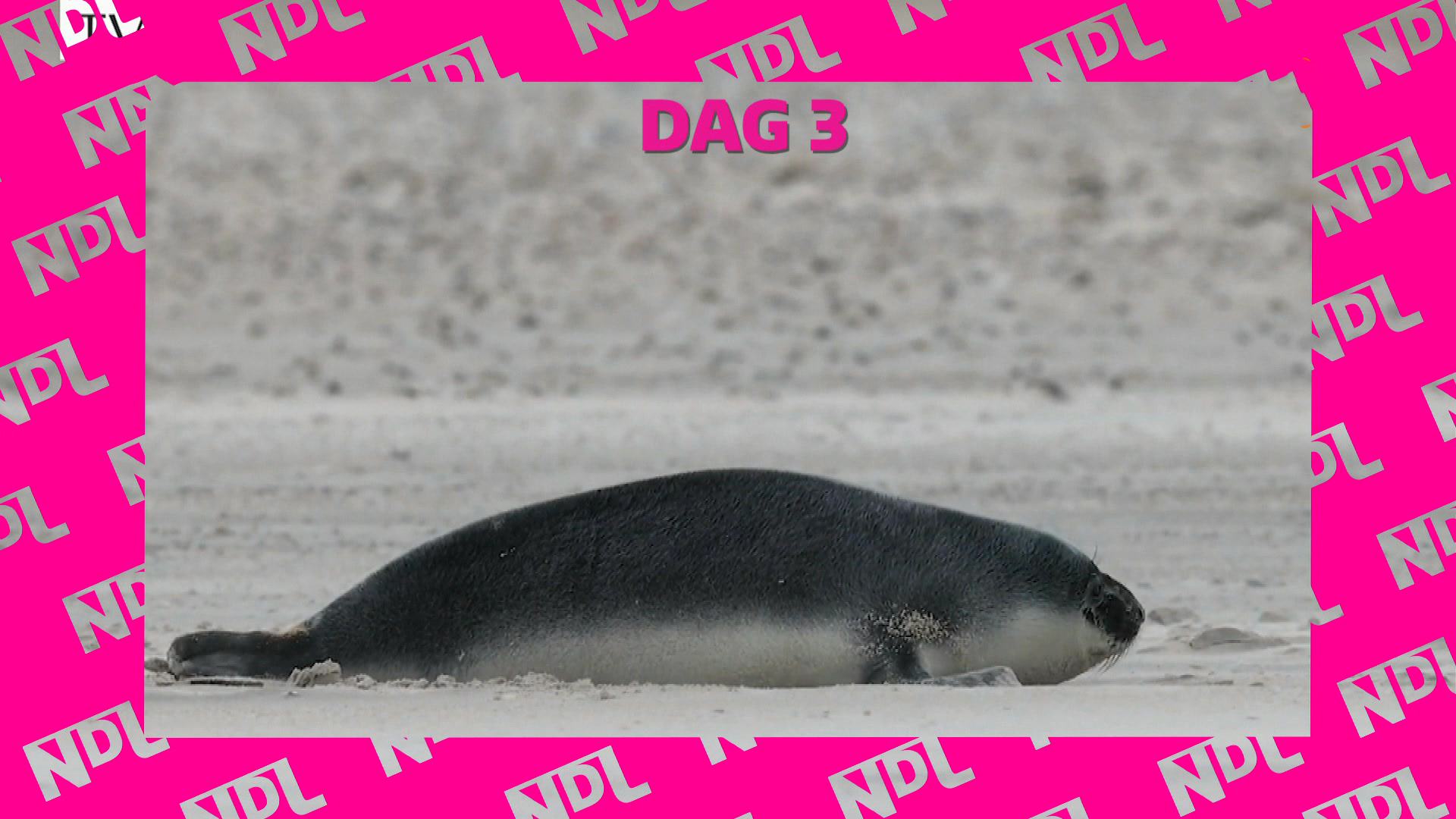 Natuur de Luxe | NATUUR DE LUXE