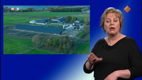 NOS Jeugdjournaal met gebarentaal