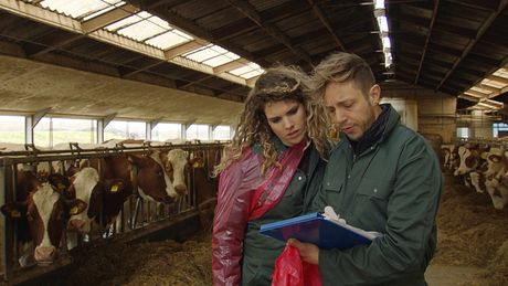 Rachel en Elbert passen op | Tegenslag en examen