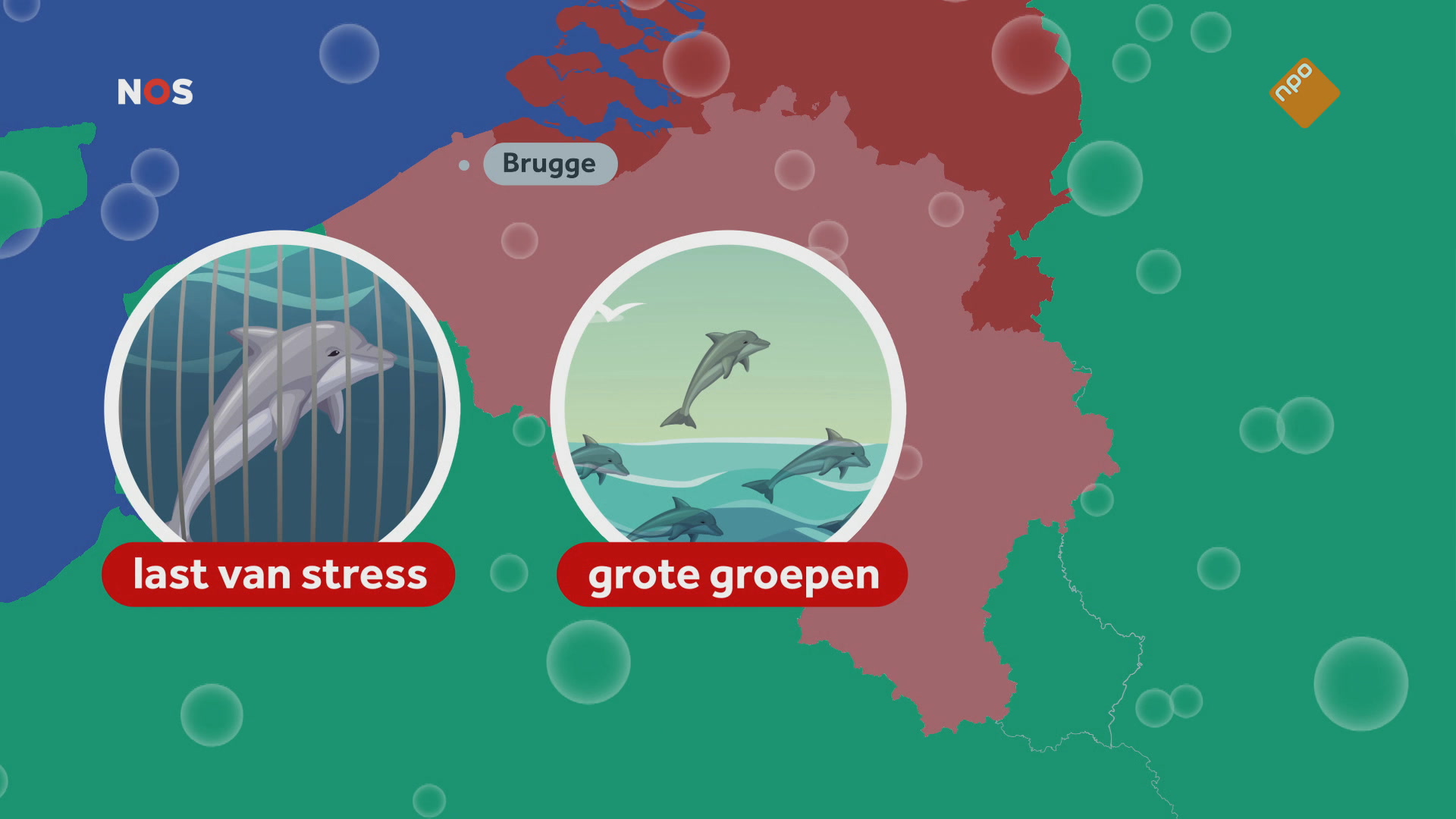Het NOS Jeugdjournaal | NOS Jeugdjournaal