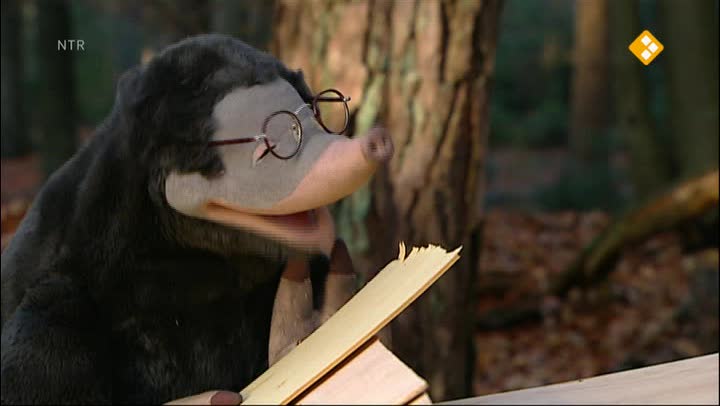 Koekeloere