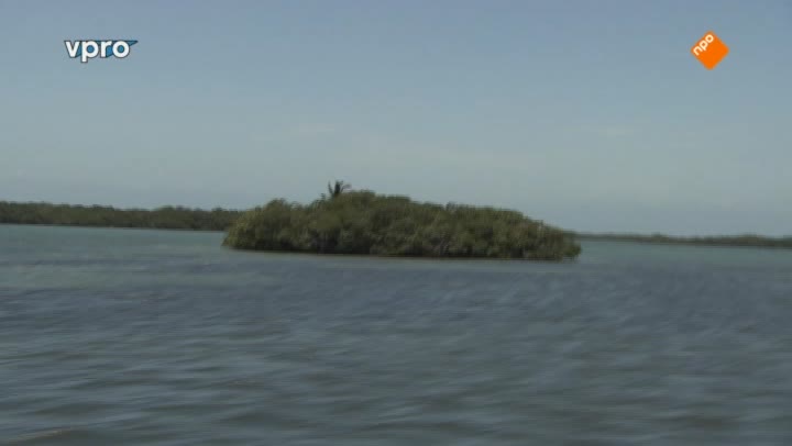 Freeks Wilde Wereld | Belize - Koraal