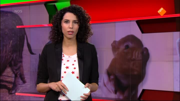 Het NOS Jeugdjournaal | NOS Jeugdjournaal