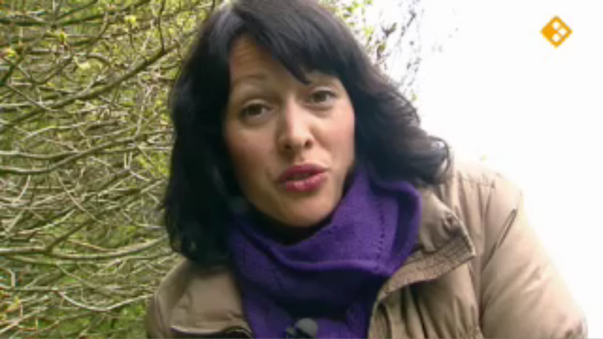 De Buitendienst  | Kevers