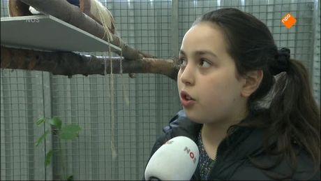 Het NOS Jeugdjournaal | NOS Jeugdjournaal