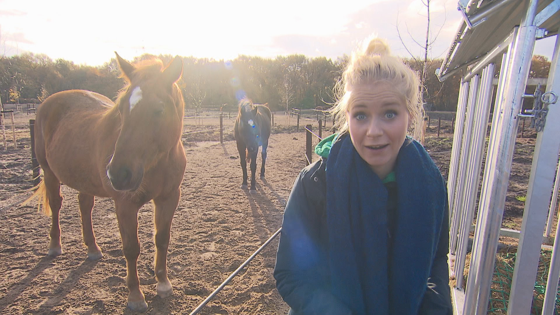 Het Klokhuis | Paardenrusthuis