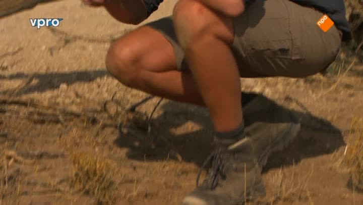 Freeks Wilde Wereld | Namibië - Verstoppertje
