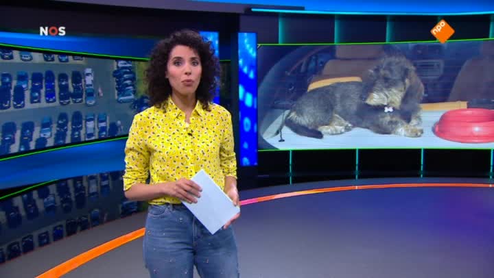 Het NOS Jeugdjournaal | NOS Jeugdjournaal