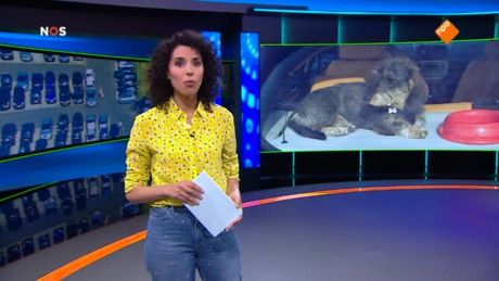 Het NOS Jeugdjournaal | NOS Jeugdjournaal