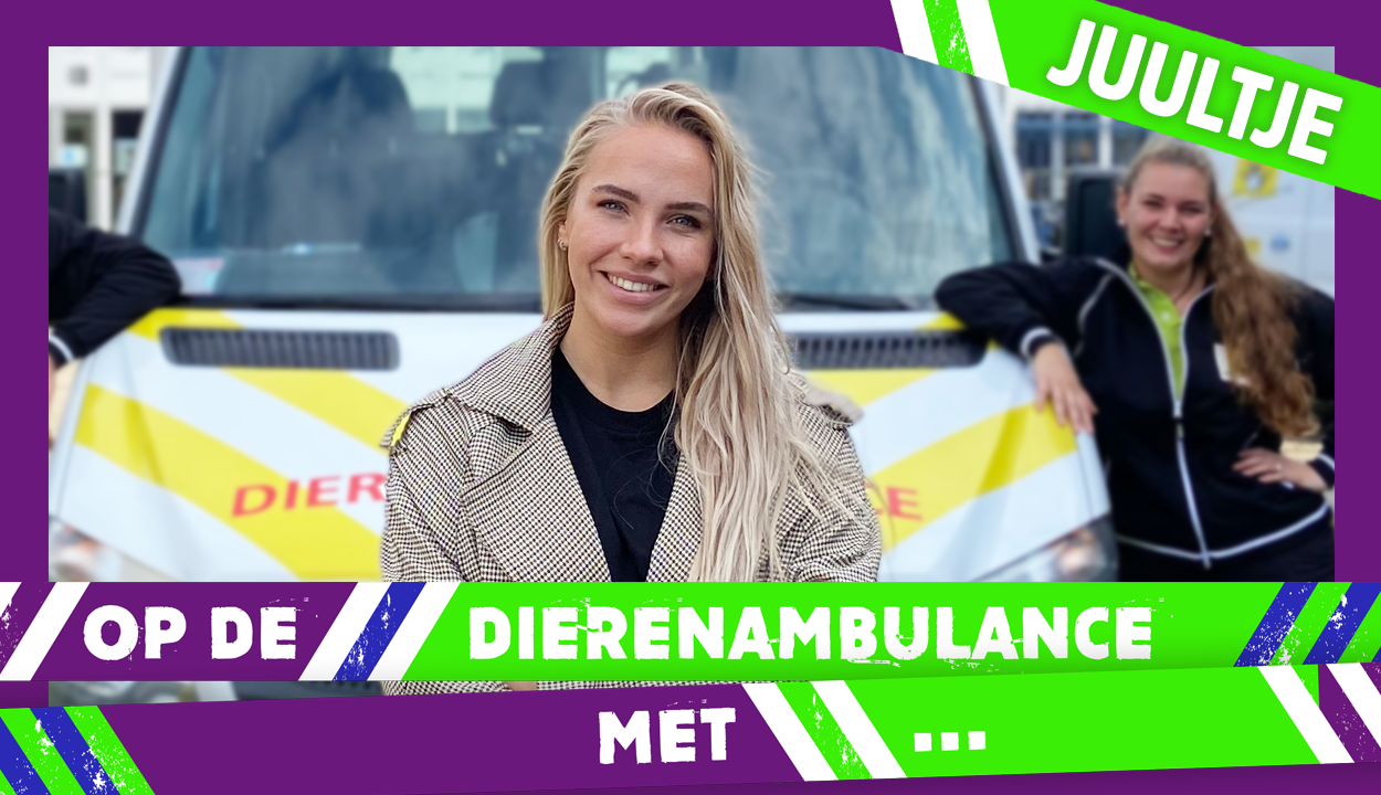 Juultje Tieleman