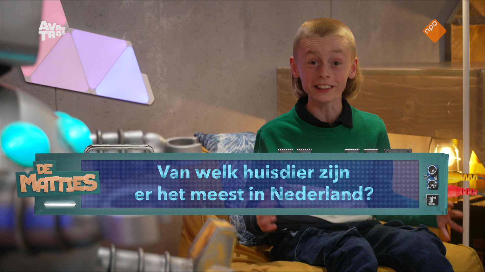 De Matties | Huisdieren