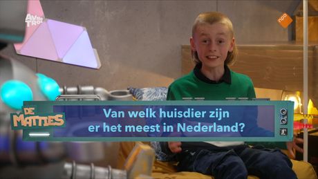 De Matties | Huisdieren