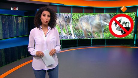 Het NOS Jeugdjournaal | NOS Jeugdjournaal