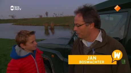 Willem Wever