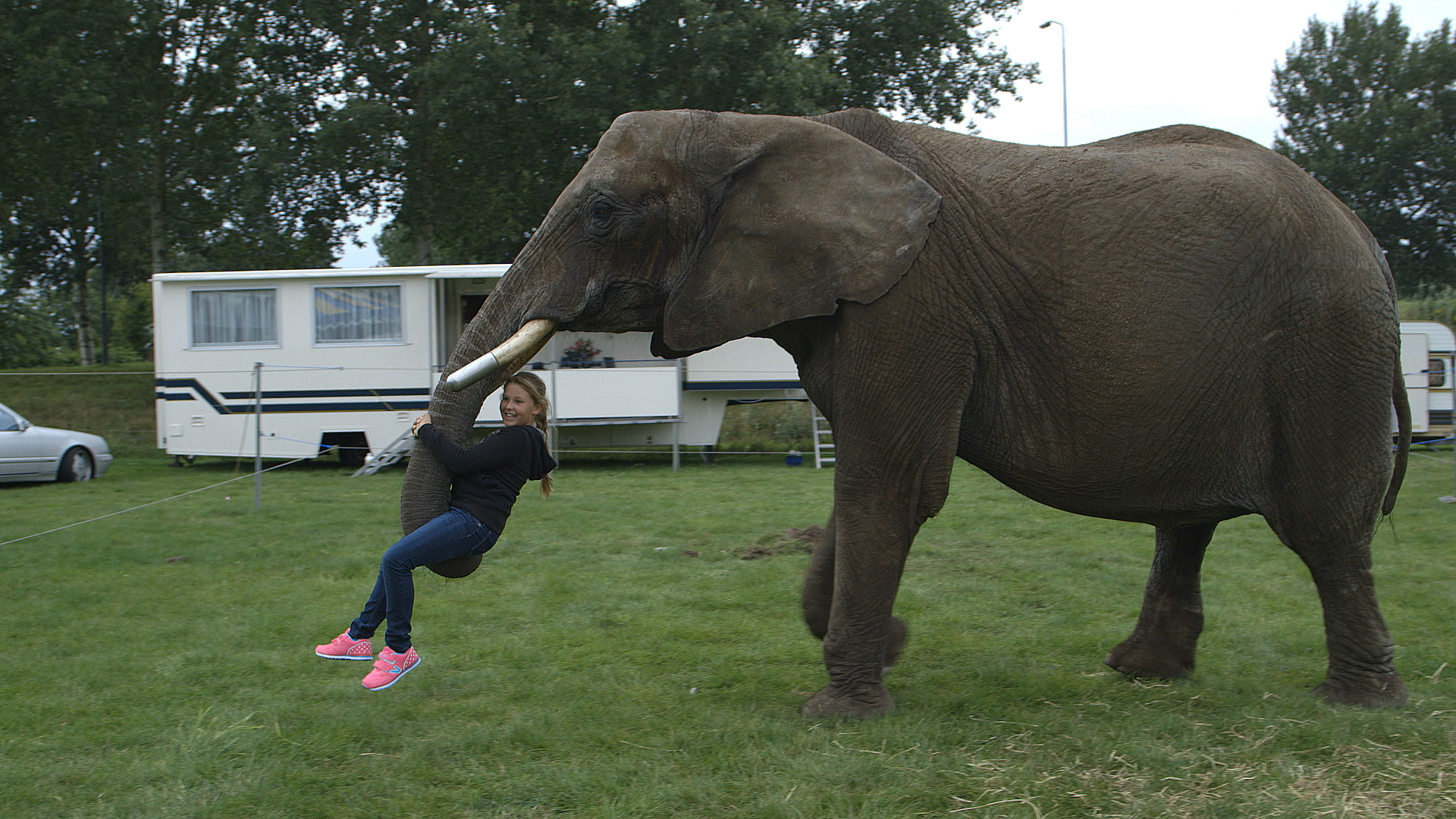 ZappDoc | Buba en Sharon