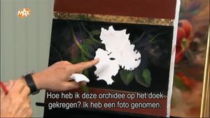Orchidee van de tropen