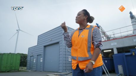 De Dikke Data Show | Offline