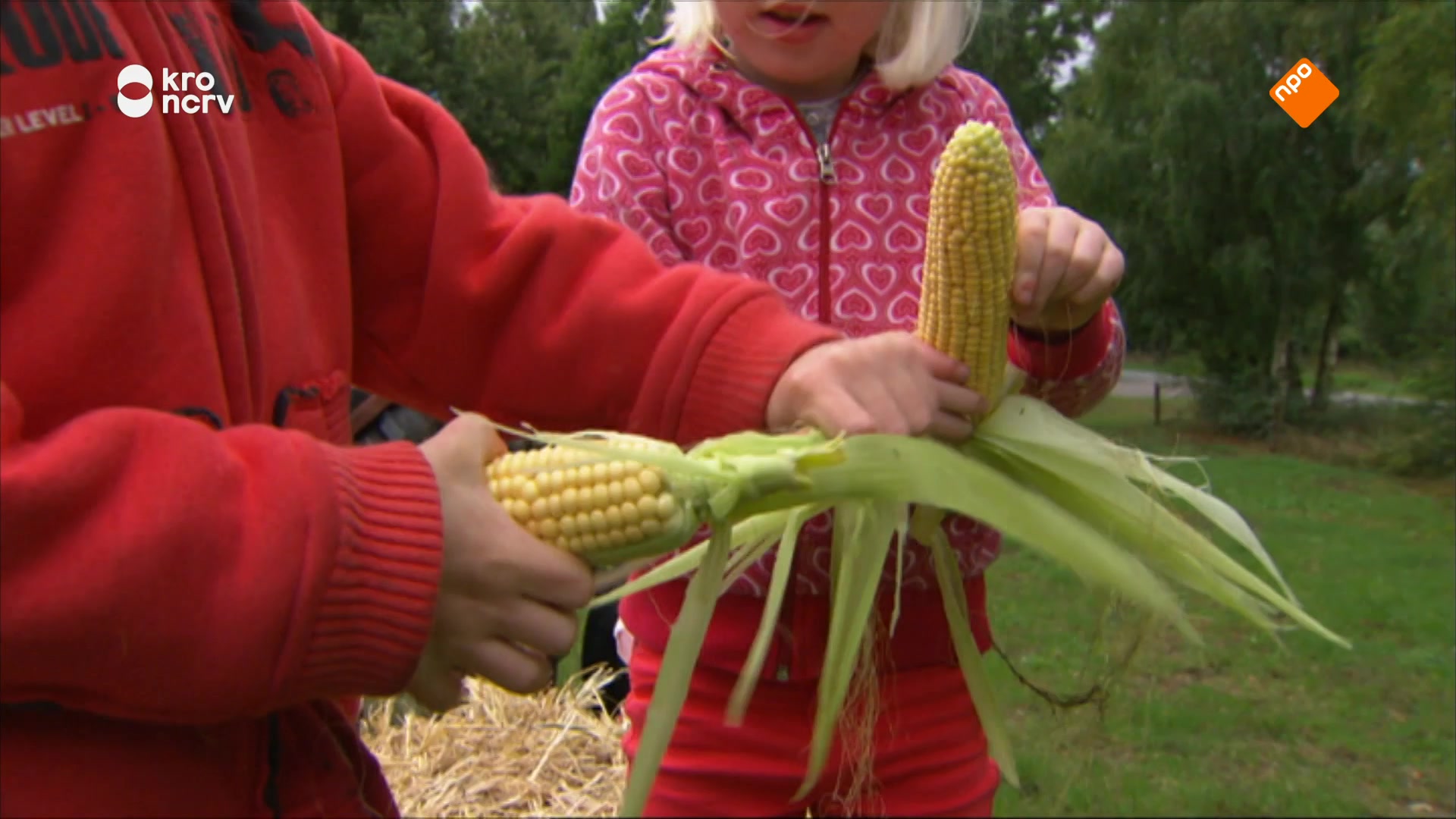 Kindertijd
