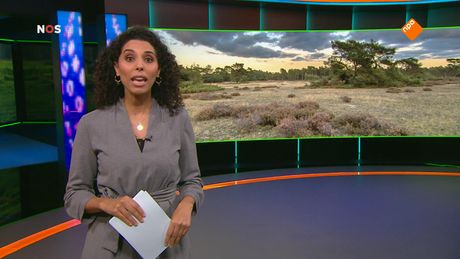 Het NOS Jeugdjournaal | NOS Jeugdjournaal