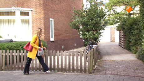 SpangaS: De Campus | Goede voornemens