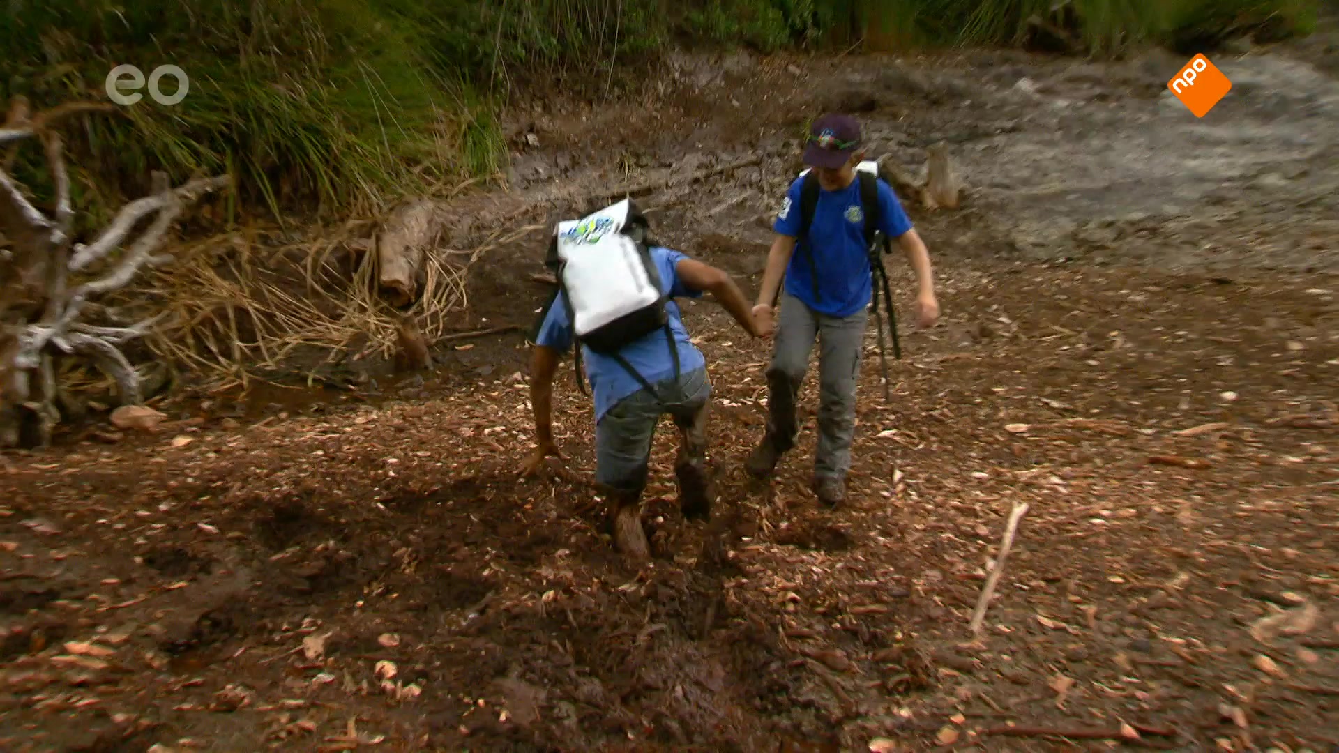 Zapp Your Planet: Expeditie - Ga Voor Aap!