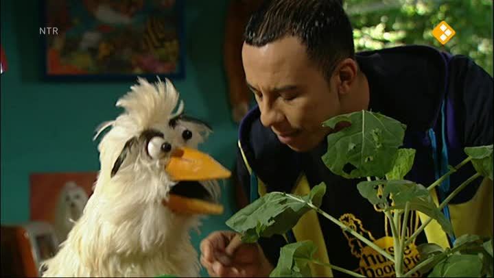 Huisje Boompje Beestje
