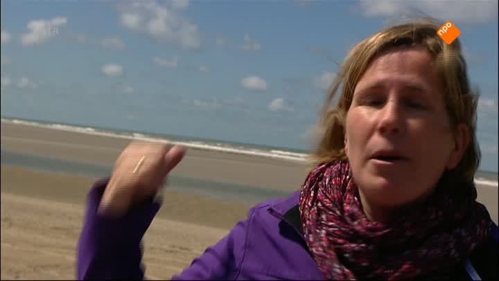 Het Klokhuis | Zandmotor
