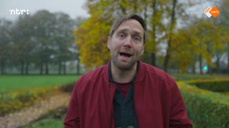 Herfstbladeren