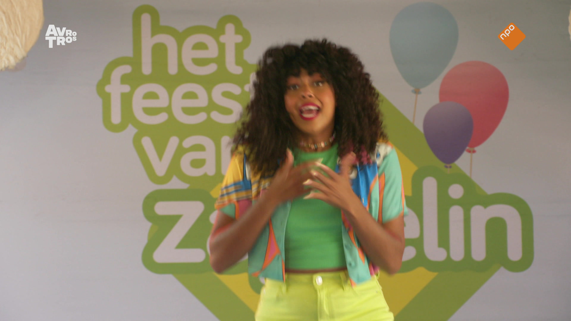 Het feest van Zappelin