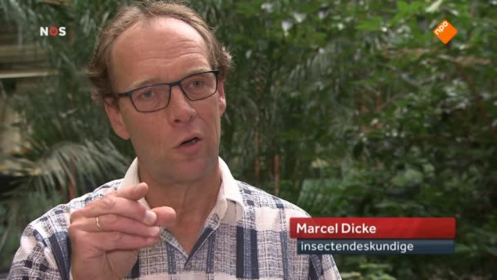 Het NOS Jeugdjournaal | NOS Jeugdjournaal