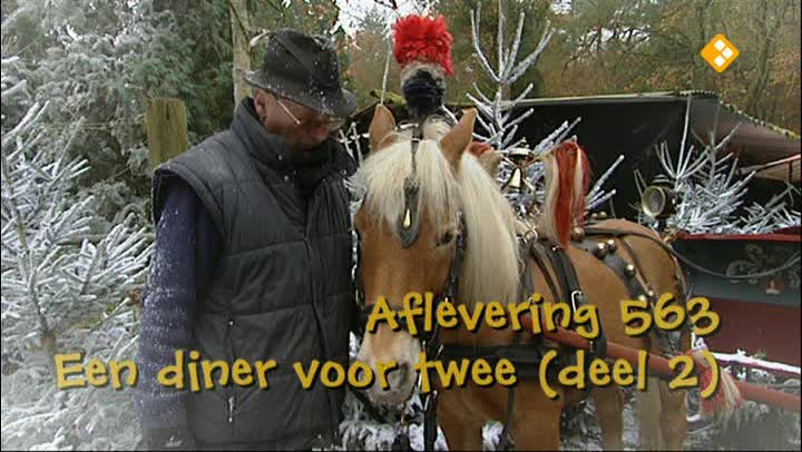 Koekeloere