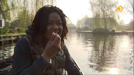 Het Klokhuis | Rietsnijder