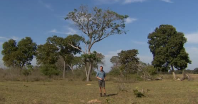 Freeks Wilde Wereld | Snavels en tanden