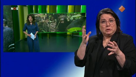 NOS Jeugdjournaal met gebarentaal
