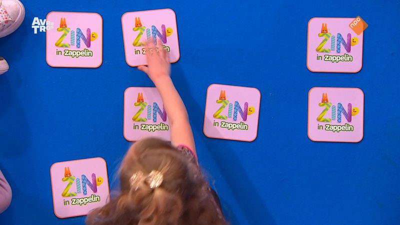 Zin in Zappelin