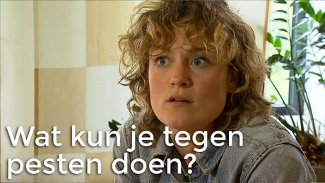 Het Klokhuis | Wat kun je tegen pesten doen?