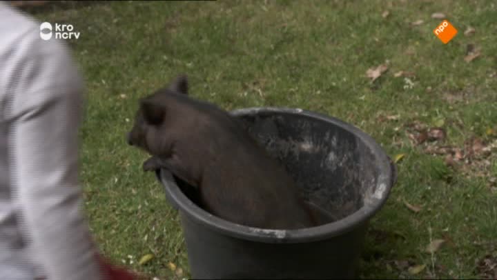 Kindertijd
