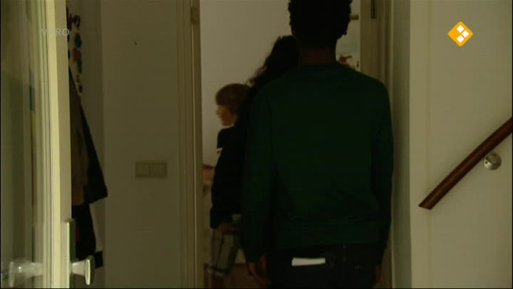 Proefdier | Ingmar & papegaai